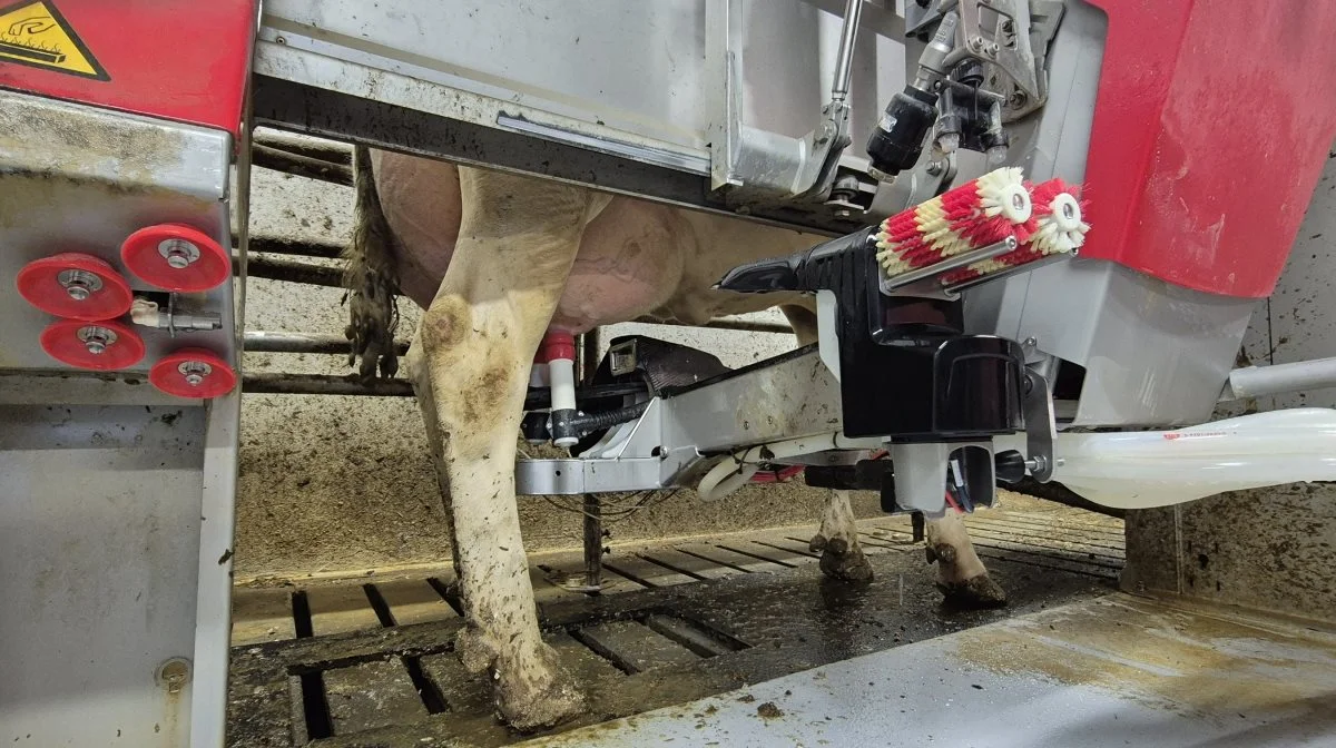 Indkøringen var hård, men robotterne har givet alt det, som Kim Fagerlin drømte om.