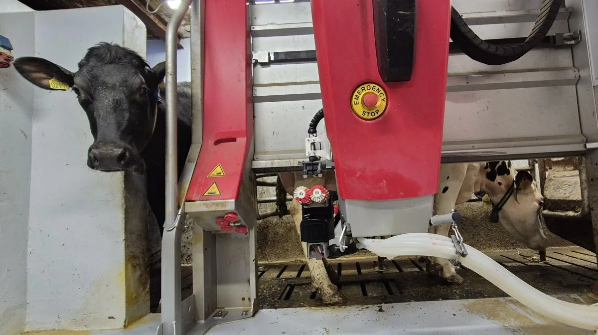 Kim Fagerlin fik i oktober indsat to Lely A5-malkerobotter.