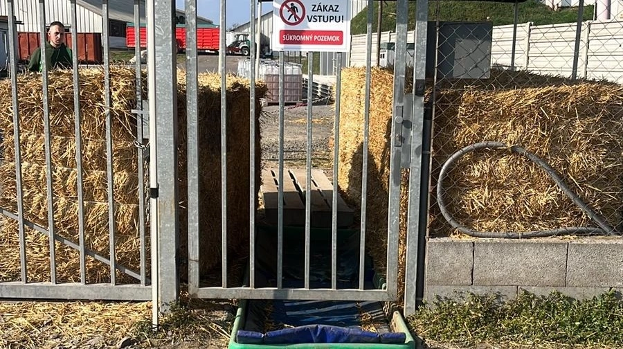 Rent lovgivningsmæssigt skal en landbrugsejendom med dyrehold i Slovakiet være hegnet inde. - Og der er vi jo allerede lidt foran Danmark, siger Søren Gerber Nielsen og beskriver, at der her blev lavet et desinfektionsområde, inden sygdommen overhoved havde ramt besætningen.