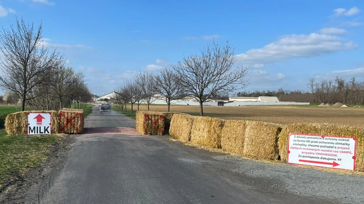 Borgmesteren gav, inden FirstFarms overhoved fik mund- og klovesyge, lov til at sætte nogle halmballer op ved den offentlige vej ned til ejendommen. Mellem halmballerne blev der drysset Stalosan på vejen, og den rødlige farve havde fra start en psykologisk effekt, så alle de biler, der kom, vendte om og kørte en anden vej. FirstFarms havde også opsat et skilt, hvor de forklarede, at der var mund- og klovesyge i området, og for at minimere smitterisikoen til deres farm, bad de folk køre en anden vej.
