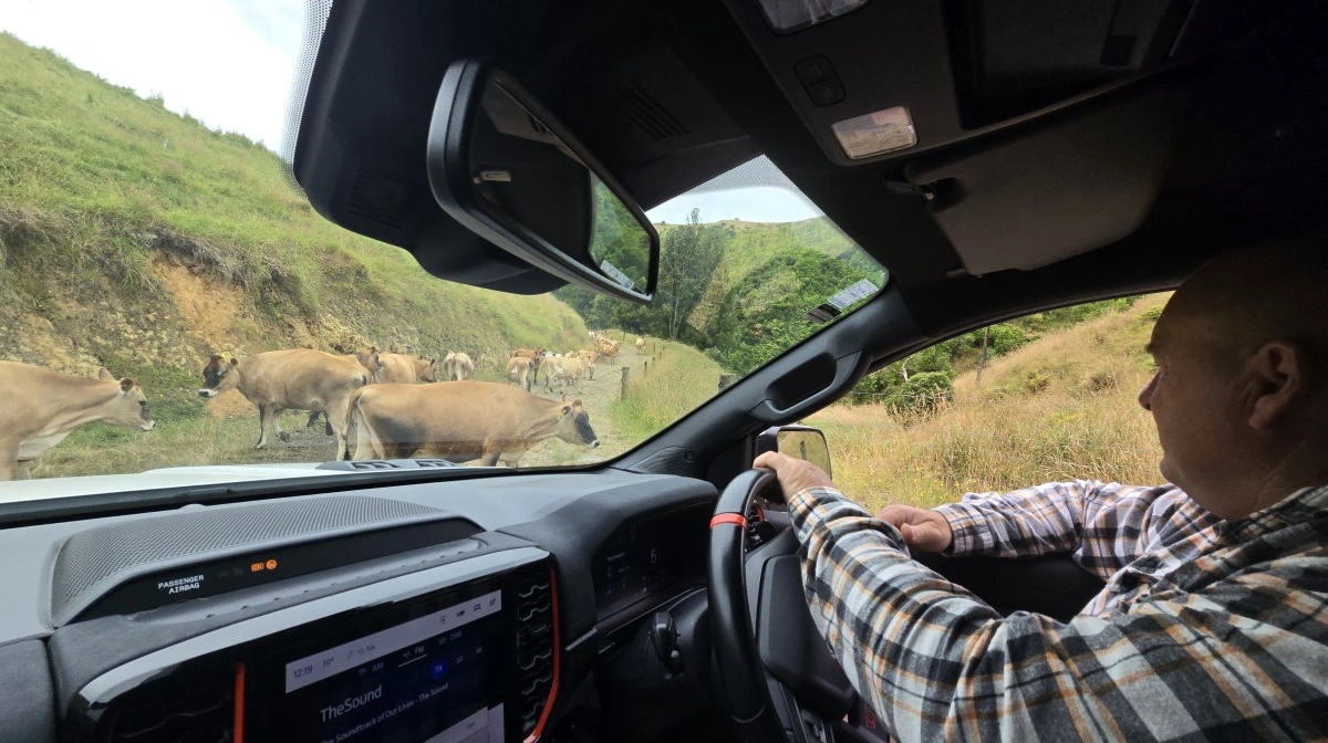 Græsmarkerne er ualmindeligt stejle på Warren og Louise Berrys 450 hektar. Fotos: Jørgen P. Jensen