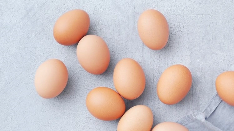 Danæg leverer rekordresultat i 2025 med 83 mio. kr. på bundlinjen og 2,5 mia. kr. i omsætning. Fotos: Danæg