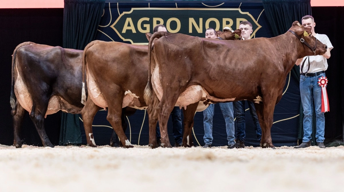 Bedste besætningsgruppe: Peter Nielsen, Løgstør.