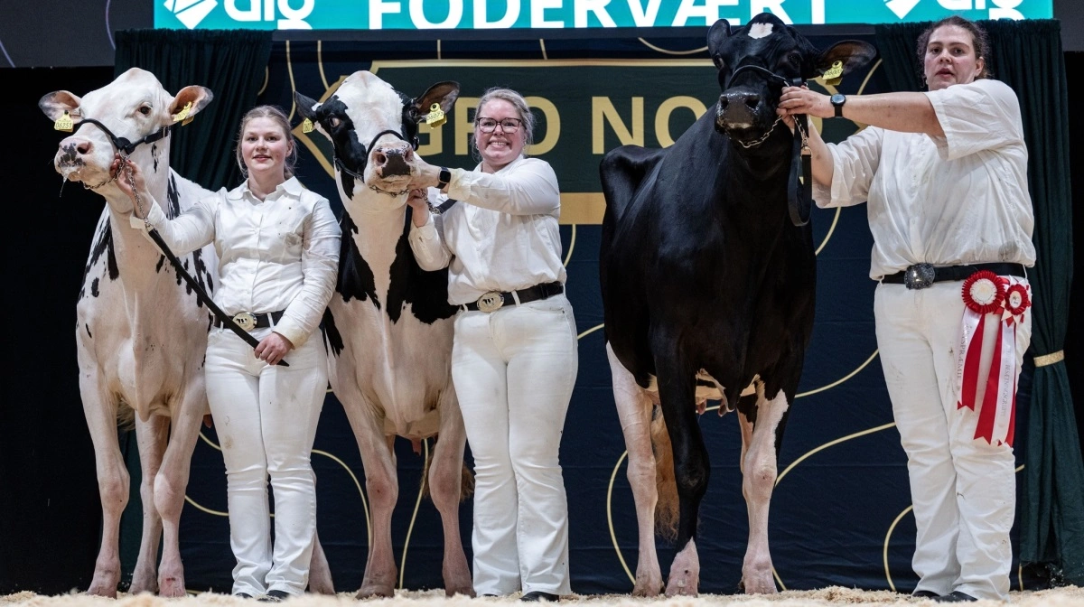 Bedste besætningsgruppe: Dueholm, Skive.