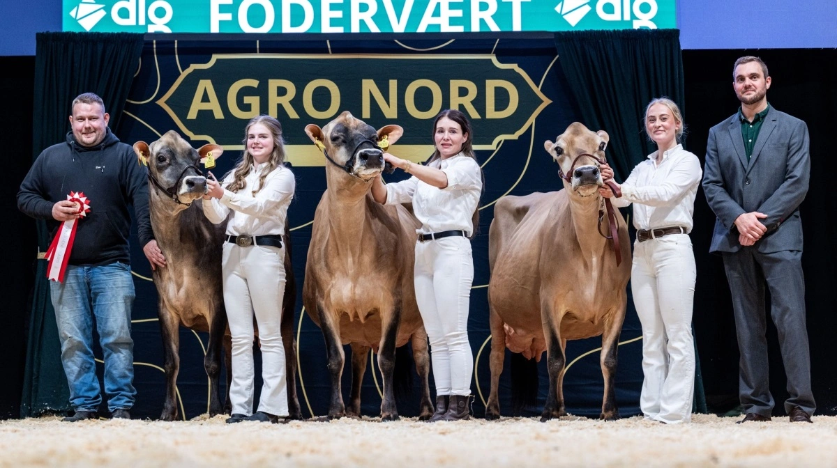 Bedste besætningsgruppe: Fadestrupgaard, Aars.