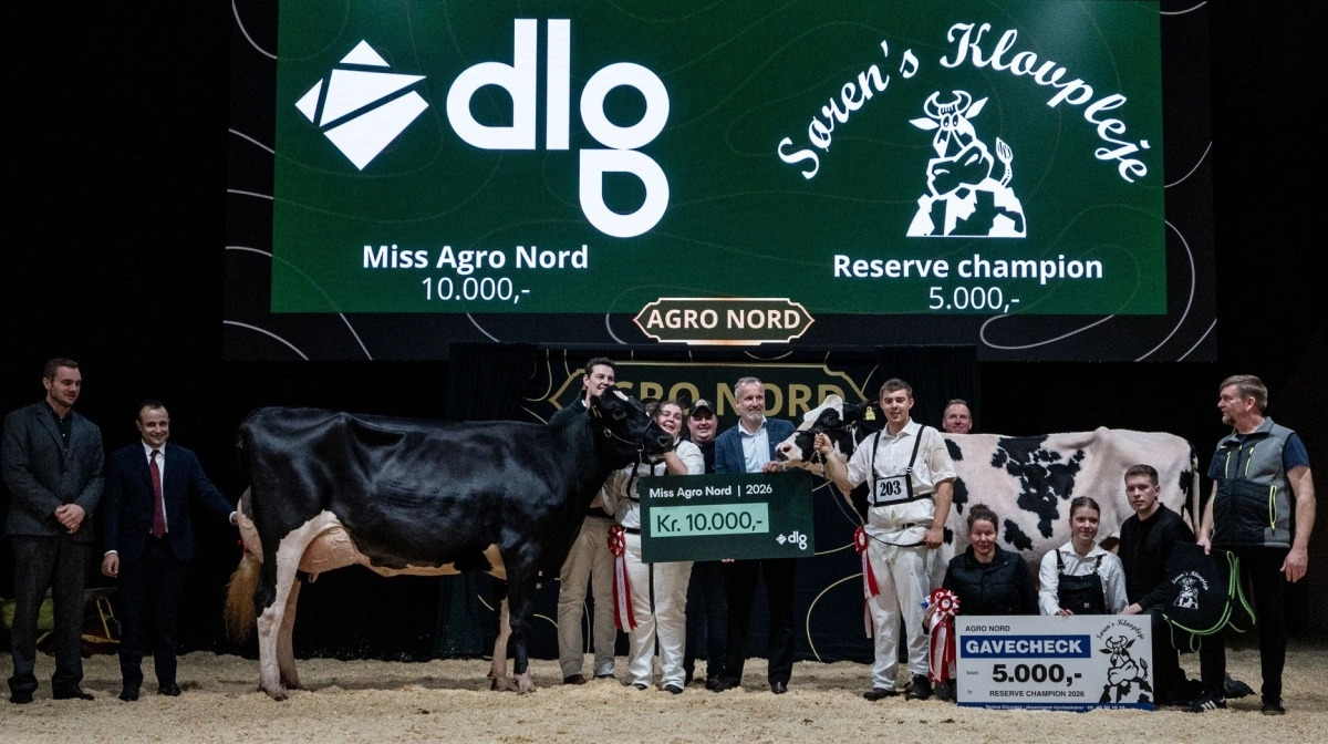 På billedet ses Miss Agro Nord, en Otto-datter fra Dueholm, Skive, og reservechampion - en Predator-datter fra Niels Peter Utoft Nielsen, Østervrå. Fotos: Agro Nord


Fotos: Agro Nord