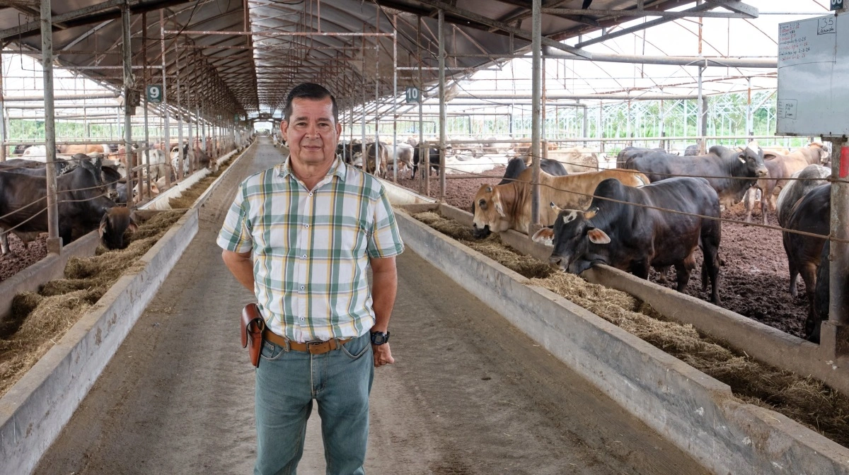 Hos Ganaderia El Colono Real, som konstant har cirka 6.000 stykker kødkvæg enten på stald eller græs, fremstilles også kompost af en blanding af møg og savsmuld. Fotos: Niels Damsgaard