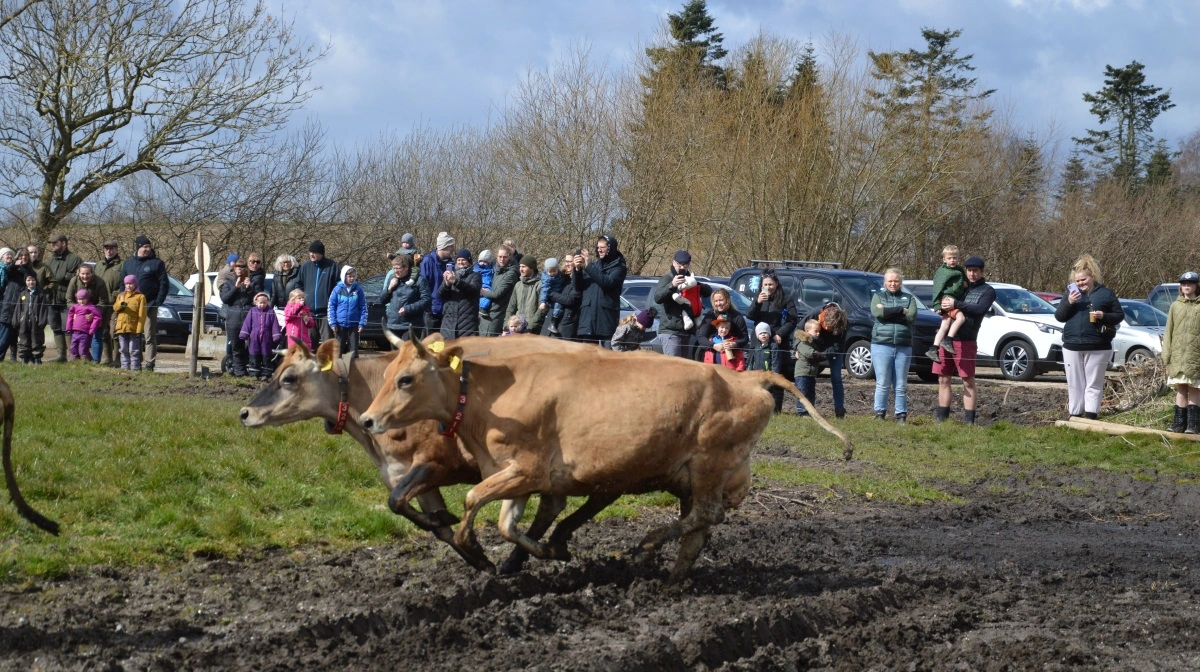 Økodag finder sted søndag 12. april klokken 10.00-14.00. Arkivfoto: Camilla Bønløkke