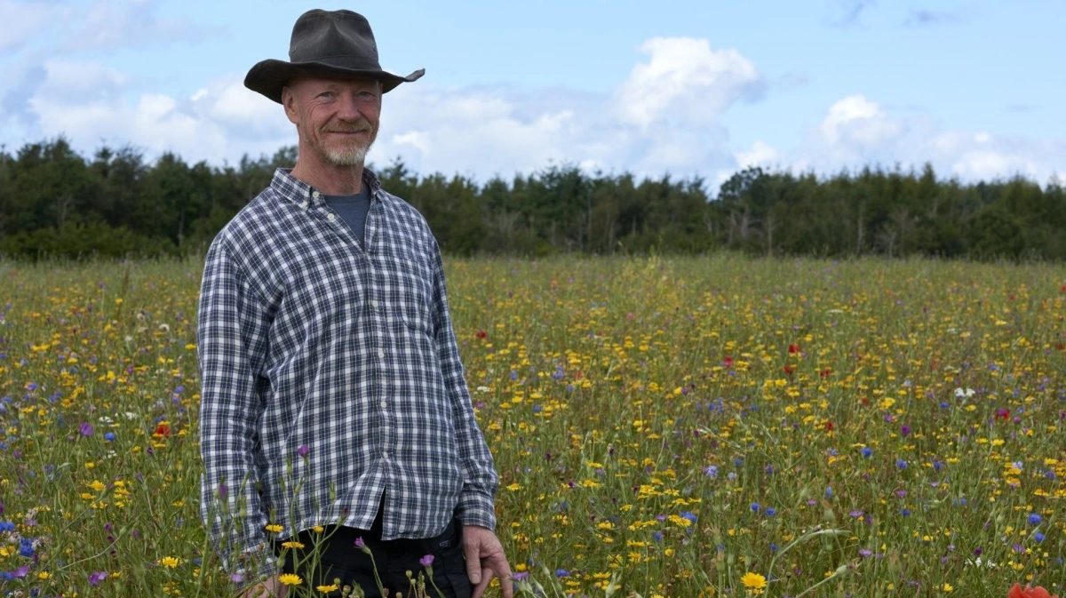 - Det er så fedt. Man bliver glad i låget af at gå i marken og høre summen og se sommerfugle flagre. Det er alle pengene værd. Det er gået så hurtigt fra en kedelig kornmark til blomsterflor med masser af natur, fortæller Anders Knudsen. Foto: Agrovi