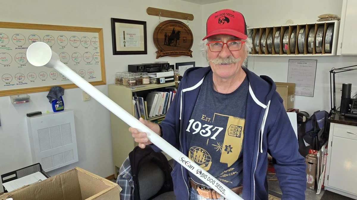 Wayne Amos på sit kontor med en prøvetager-stang af såsædspartier til hans fremavls-kunder. Fotos: Jørgen P. Jensen
