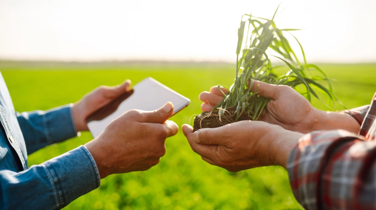 Sagro leverer 20,2 millioner i overskud efter vækst i rådgivning og nye områder, og  samtidig sender virksomheden millionrabat tilbage til kunderne. Foto: Colourbox