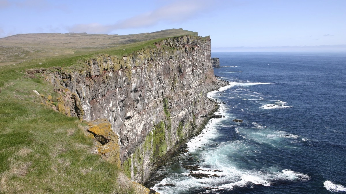 Med skibet Baldur sejles over Breiðafjörður med mange småøer og et rigt fugleliv, som der ses nærmere på ved det enorme fuglefjeld Látrabjarg på billedet. Fotos: Niels Damsgaard Hansen