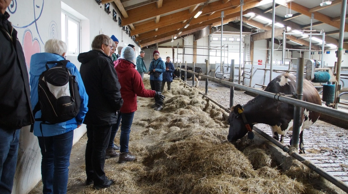I Erpstadir har Einar, der er uddannet mejerist i Dalum, sin gård med 60 køer og eget gårdmejeri, hvor vi får lækre smagsprøver.