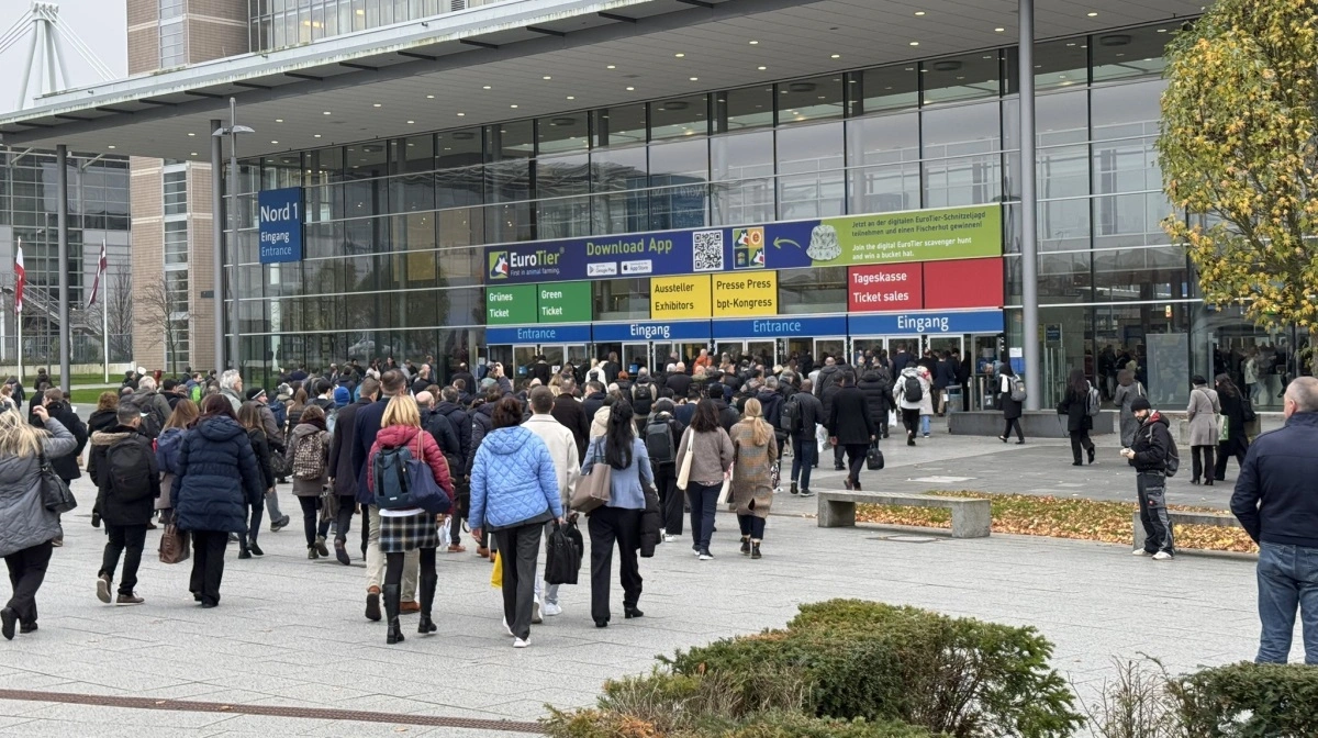 Den store europæiske husdyrmesse EuroTier afholdes i år den 10.-13. november og forventes at tiltrække omkring 120.000 besøgende. Arkivfoto: Per Jørgensen