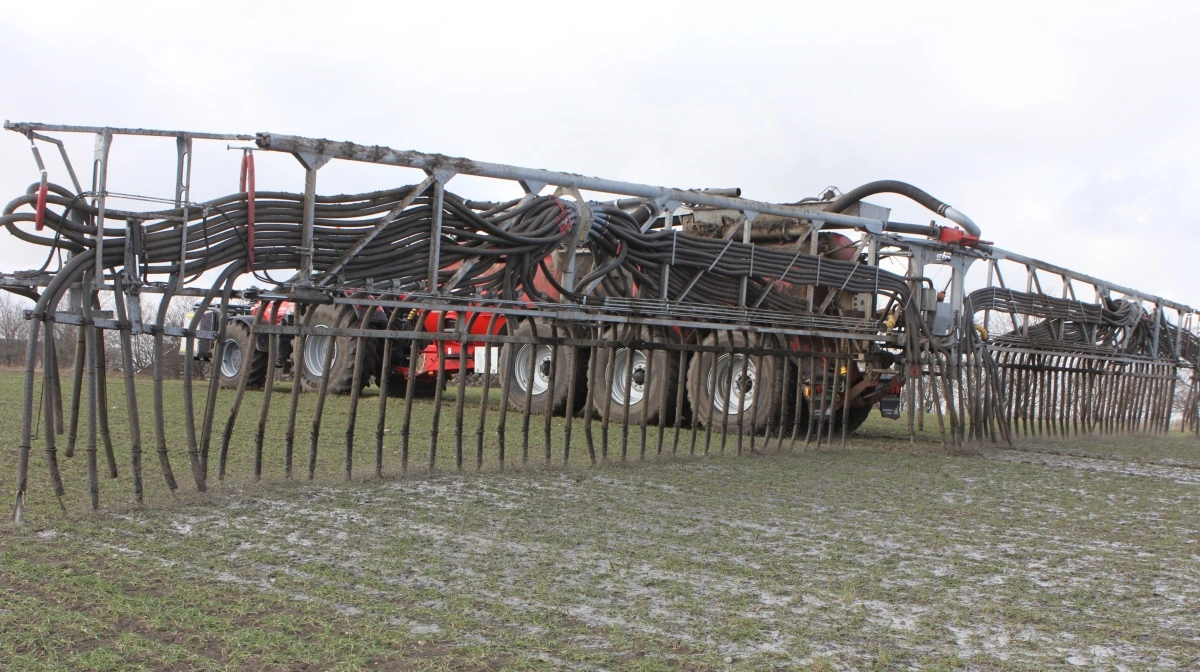 Udbringning i den fremspirende afgrøde skal ske ved brug af slæbeslanger eller slæbesko. Her skal man være opmærksom på, at det giver et højere ammoniaktab og dermed lavere udnyttelse af gyllens kvælstofindhold, end nedfældning før såning gør. Arkivfotos