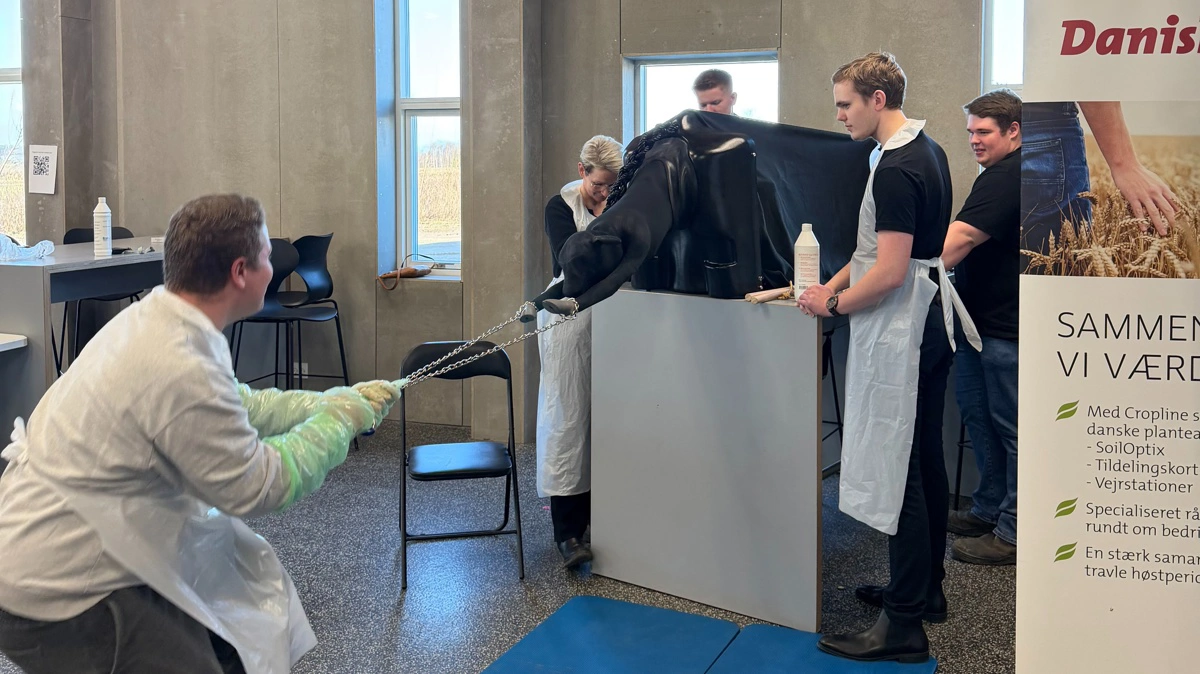 Foto: Bygholm Landbrugsskole