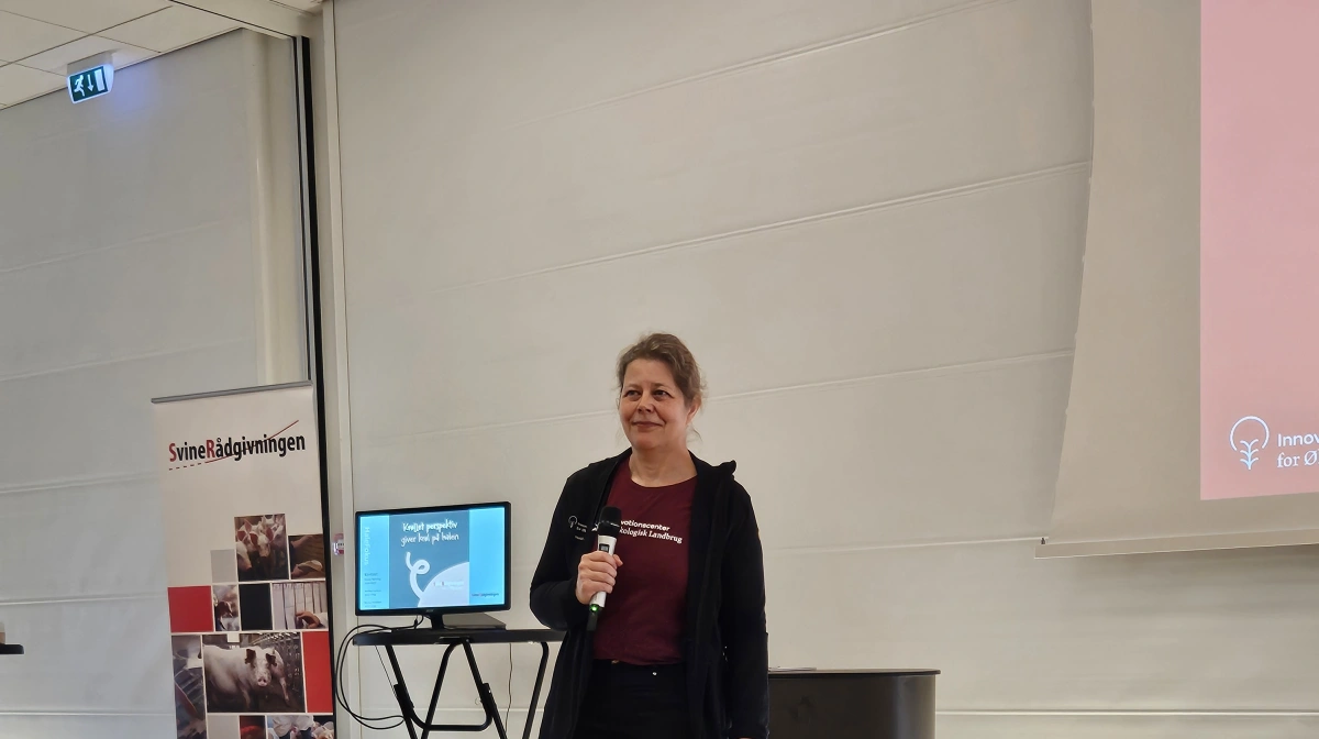 I forbindelse med SvineRådgivningens temadag for udendørs produktion fortalte Heidi Mai-Lis Andersen fra Innovationscenter for Økologisk Landbrug (ICOEL), at fosfor bliver et større problem hos de økologiske producenter fremover. Foto: Camilla Bønløkke