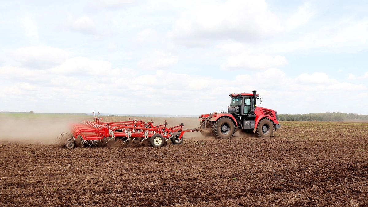 Russisk landbrug er en vigtig eksportsektor, og landet har store ambitioner om at øge eksporten. Men nye tal viser faldende investeringer.Arkivfoto:Jørgen P. Jensen