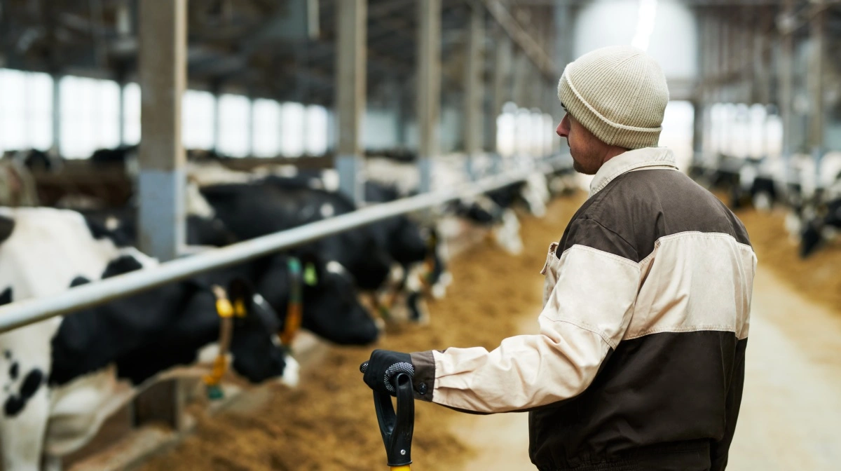 Antallet af selvstændige falder. En ny formueskat kan ramme landmænd og gøre det mindre attraktivt at eje og udvikle virksomheder. Foto: Colourbox