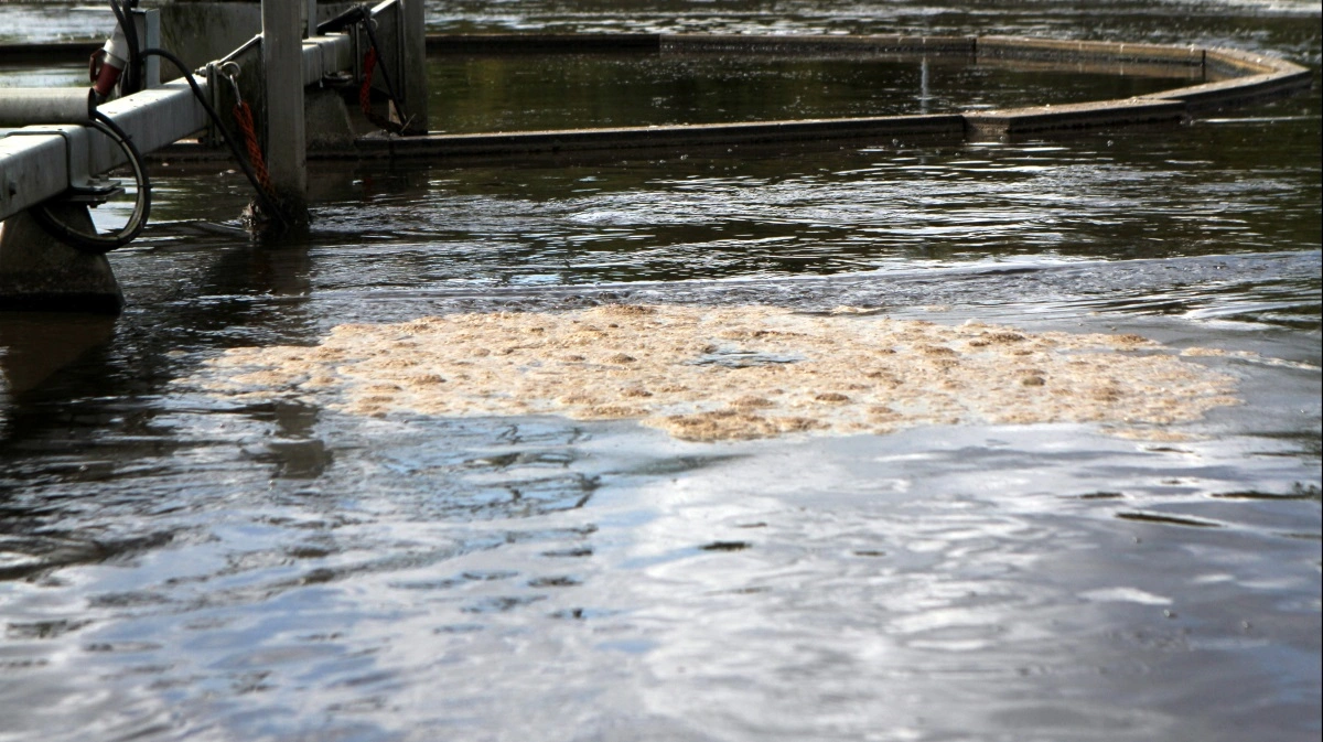 I over en måned flød der spildevand ud af et kloakrør til en mark i Nordjylland. Sagen viser, at det ikke altid er landbrugets skyld, når der sker forurening, mener lodsejeren. Billedet her er et arkivfoto og har ikke noget med den konkrete sag at gøre. Arkivfoto