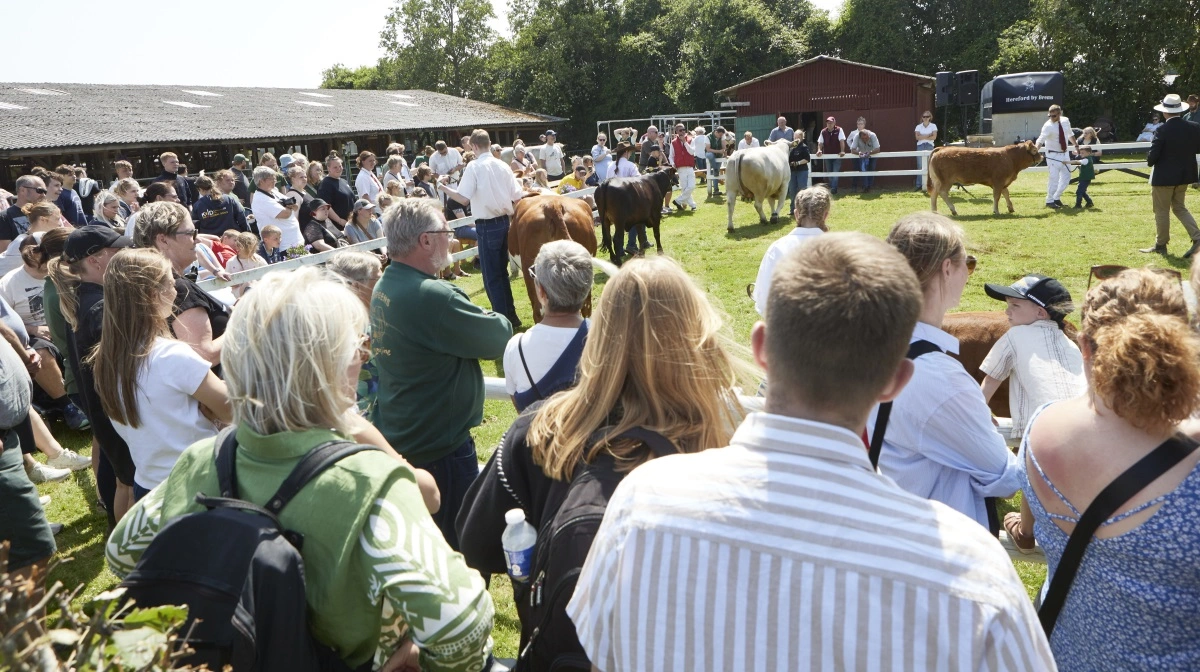 På Det Fynske Dyrskue mødes land og by til glæde og forståelse for begge parter. 