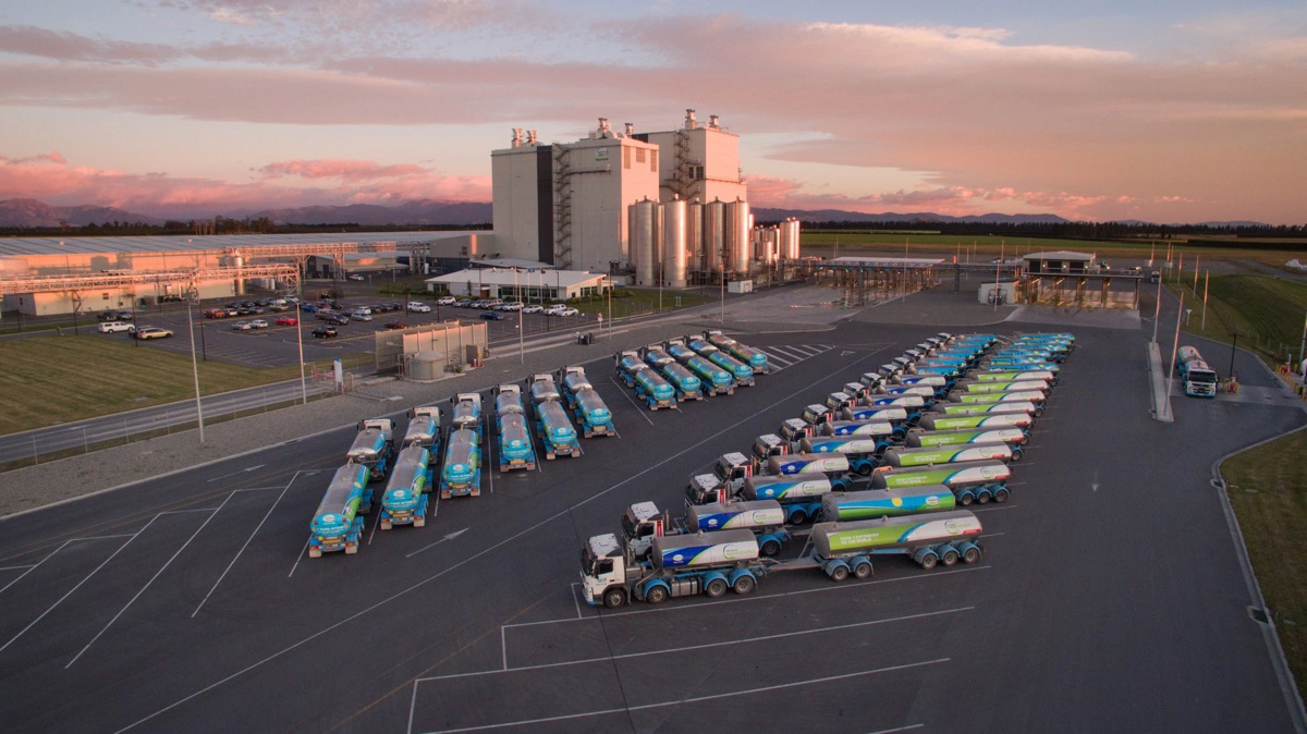 Den newzealandske mejeri Fonterra skal have ny adm. direktør. Foto: Fonterra