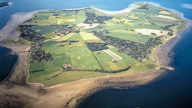 Landbruget har i årtier præget Orø i Isefjorden. Nu kan en tredjedel af øens areal blive omlagt til natur efter et stort jordopkøb. Foto: Holbæk Kommune
