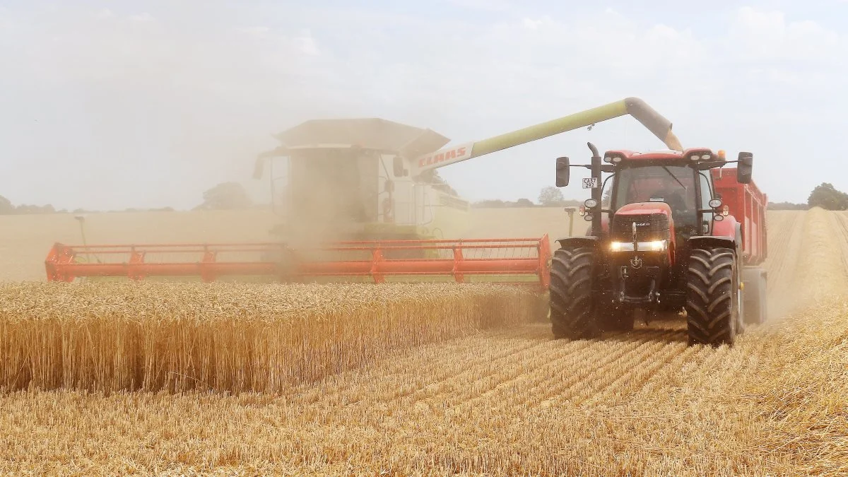 Det støvede pænt i de 30 graders 
varme ved Sakskøbing på Lolland i går.