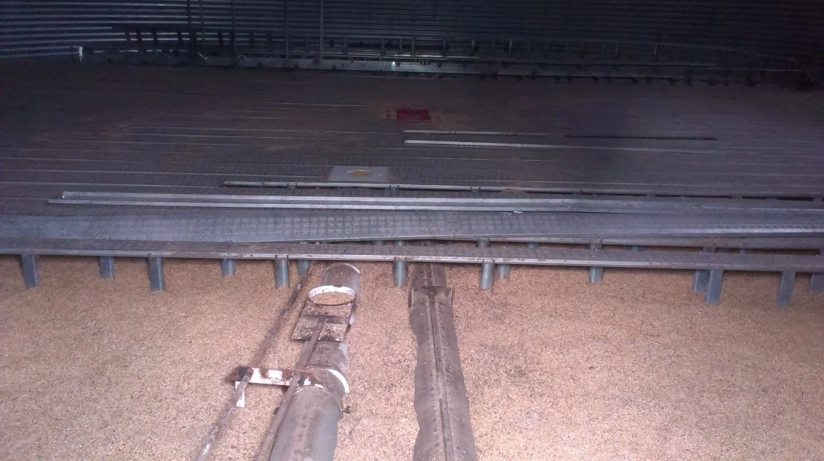 Store mængder støv, skidt og beskadiget korn kan samle sig i bunden eller under siloen og risikerer at forurene det nye korn.