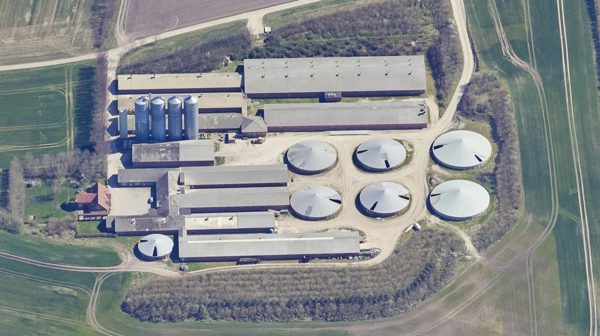 Svineproducent køber 229 hektar ved Løgstør for 51,75 millioner kroner og udvider sin nordjyske bedrift betydeligt. Foto: Skraafoto/Klimadatastyrelsen