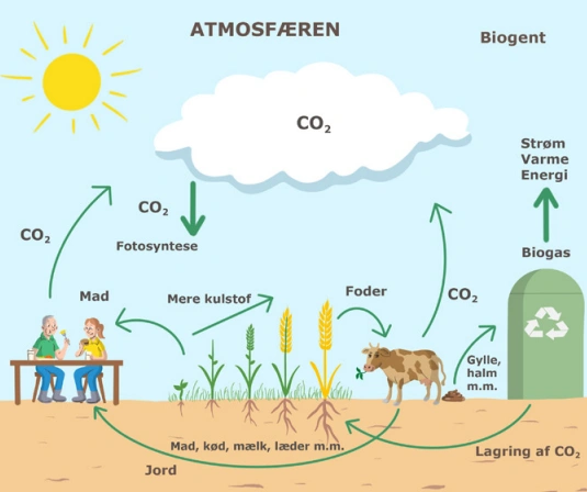 På langt de fleste bedrifter findes der allerede potentialer for reduktion, som kan hjælpe den enkelte landmænd med at sænke den samlede CO2-udledning. Arkivfoto 