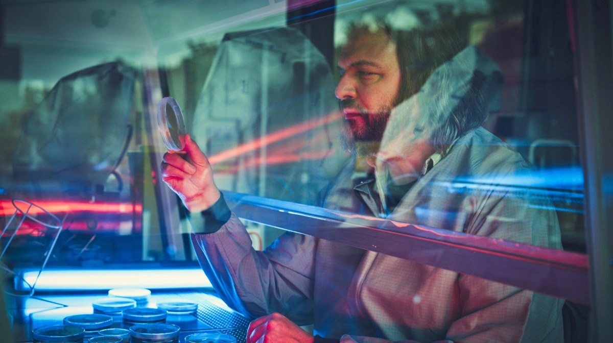 DTU og startups vil med AI udvikle svampe til bæredygtige løsninger i landbrug, fødevarer og industri. Foto: Jeppe Carlsen / DTU