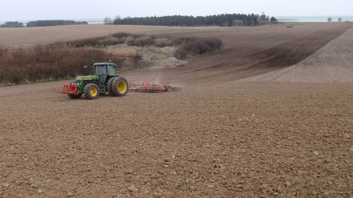 I de seneste år har det ikke været svært på Kruusesminde at lave et ordentligt såbed, hvilket klart tillægges den pløjefri dyrkning. Foto: Bjarne Hansen