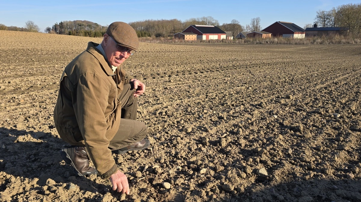 Foto: Jørgen P. Jensen