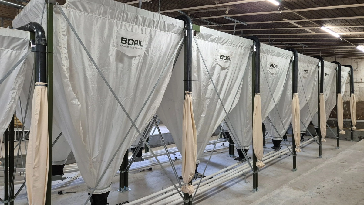 Der mangler fokus på de vilkår, der er for svineproduktionen i Danmark, og de konsekvenser, det vil have, hvis man skærer voldsomt ned for produktionen. I stedet bør man fremtidssikre sektoren, også i forhold til dyrevelfærd, mener H. C. Gæmelke. Arkivfoto: Tenna Bang