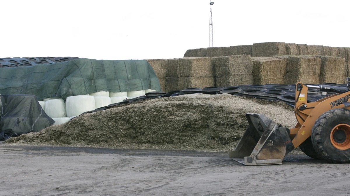 Grovfoder lægges på lager til den på det tidspunkt aktuelle interne grovfoderpris. Grovfoder forbruges fra lageret efter FIFO-princippet (First In First Out). Det betyder, at grovfoder forbruges til den samme pris, som det blev lagt på lager til. Arkivfoto