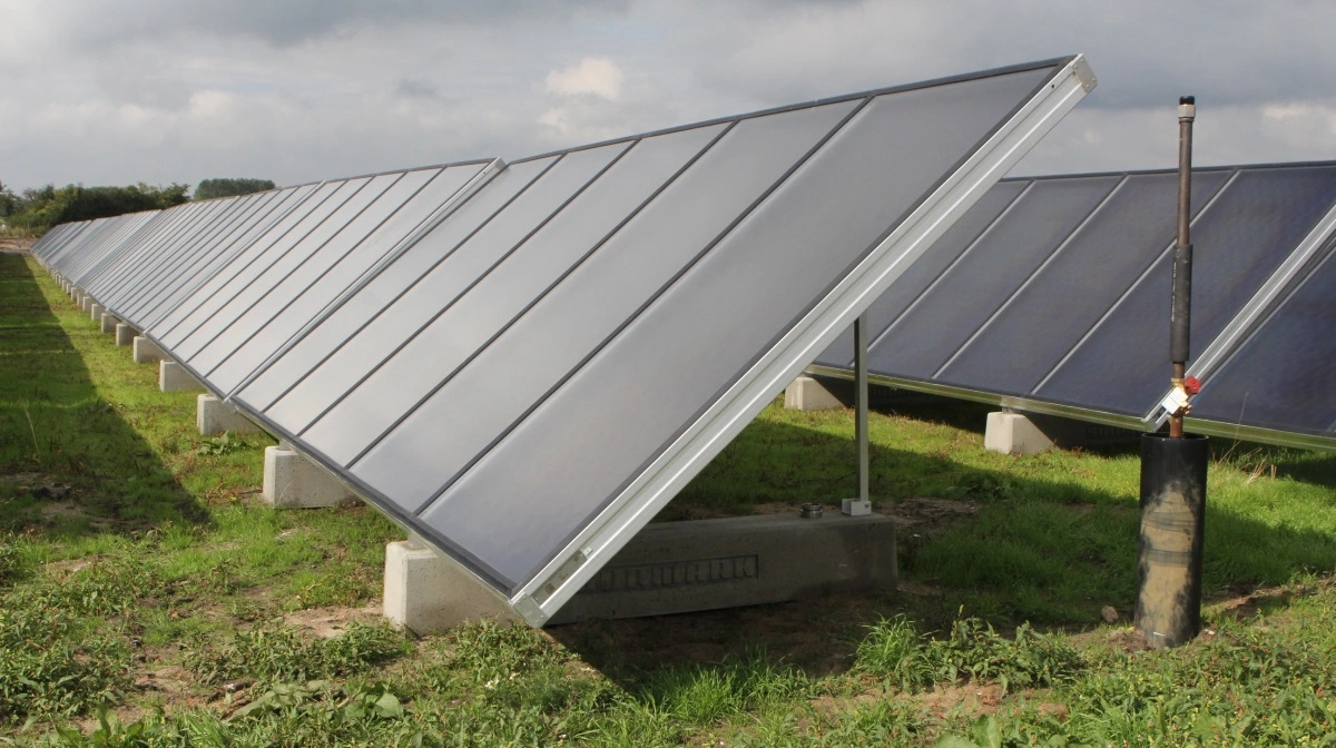 Fem landmænd har købt Better Energys jord for over 100 millioner kroner, men holder samlet pris hemmelig efter konkursen. Arkivfoto: Anne Wolfenberg