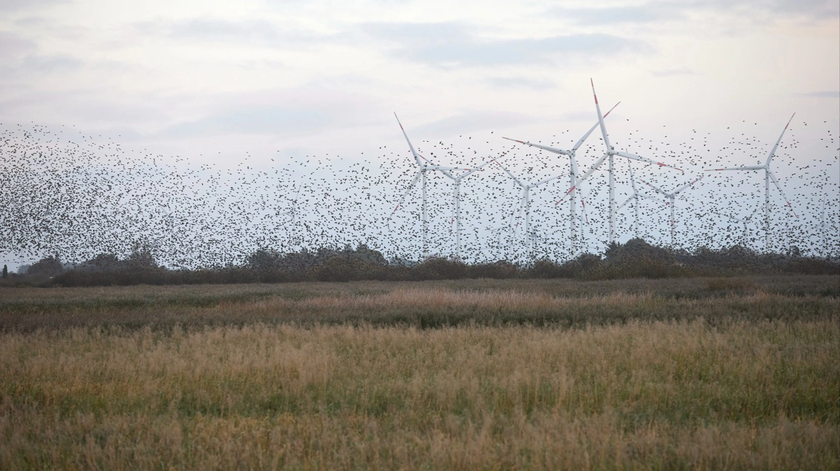 To VE-projekter er sendt videre til behandling i kommunalbestyrelsen i Tønder. Arkivfoto