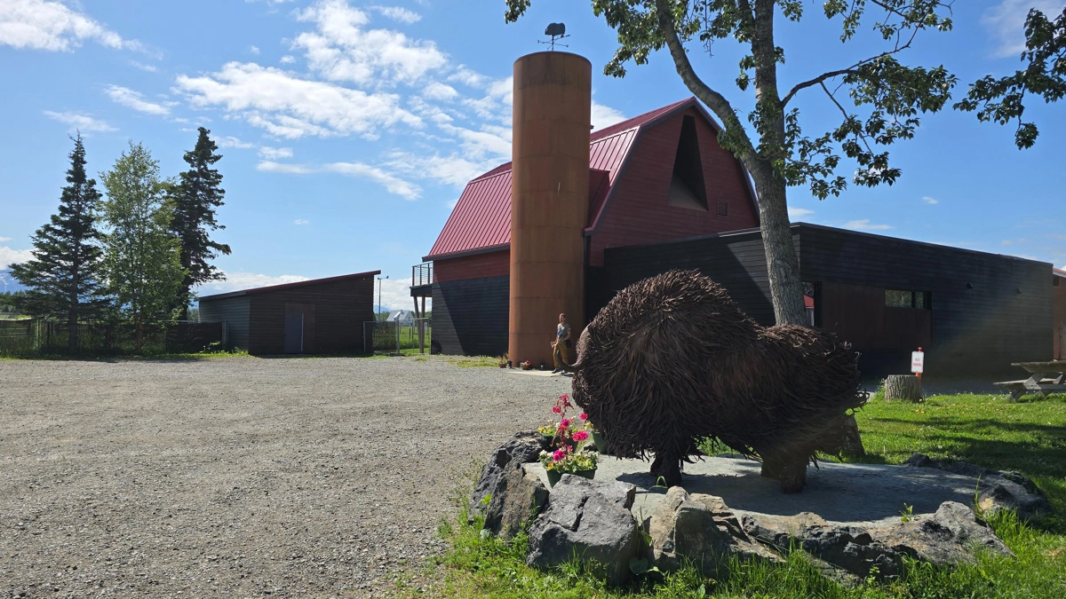 En stor, flot moskusokse-tyr lavet af træ modtager en ved ankomsten til gårdspladsen på Musk Ox Farm. Fotos: Jørgen P. Jensen 