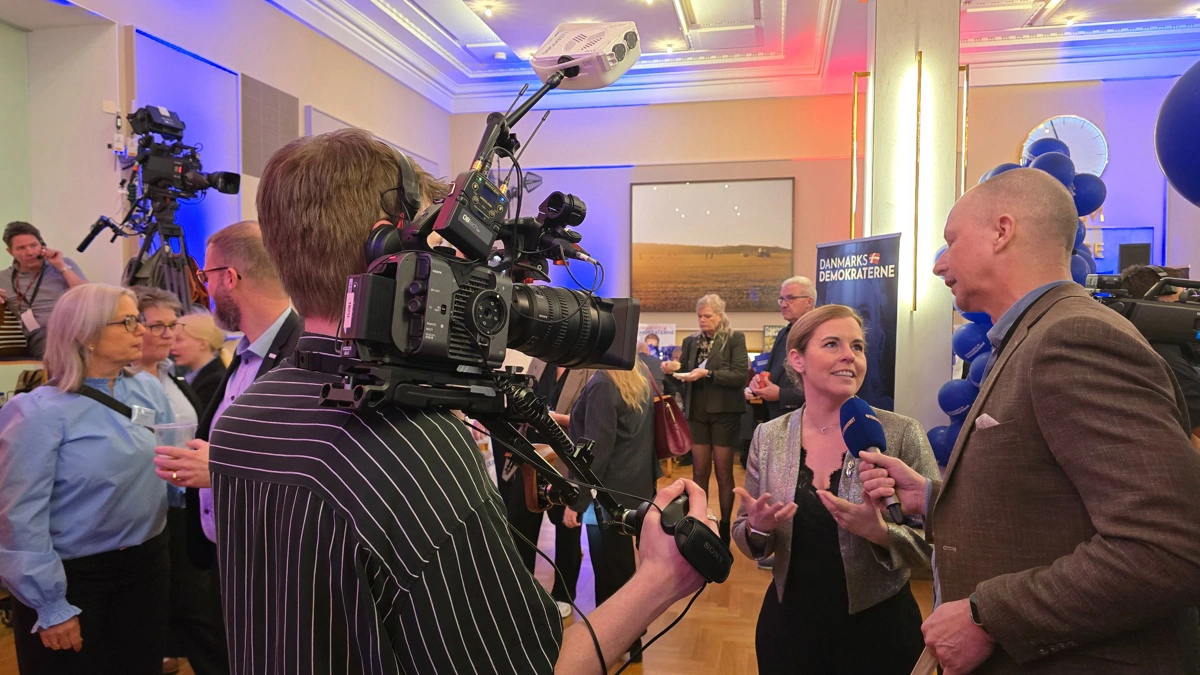 Danmarksdemokraterne serverede grise-frikadeller i deres festlokale.