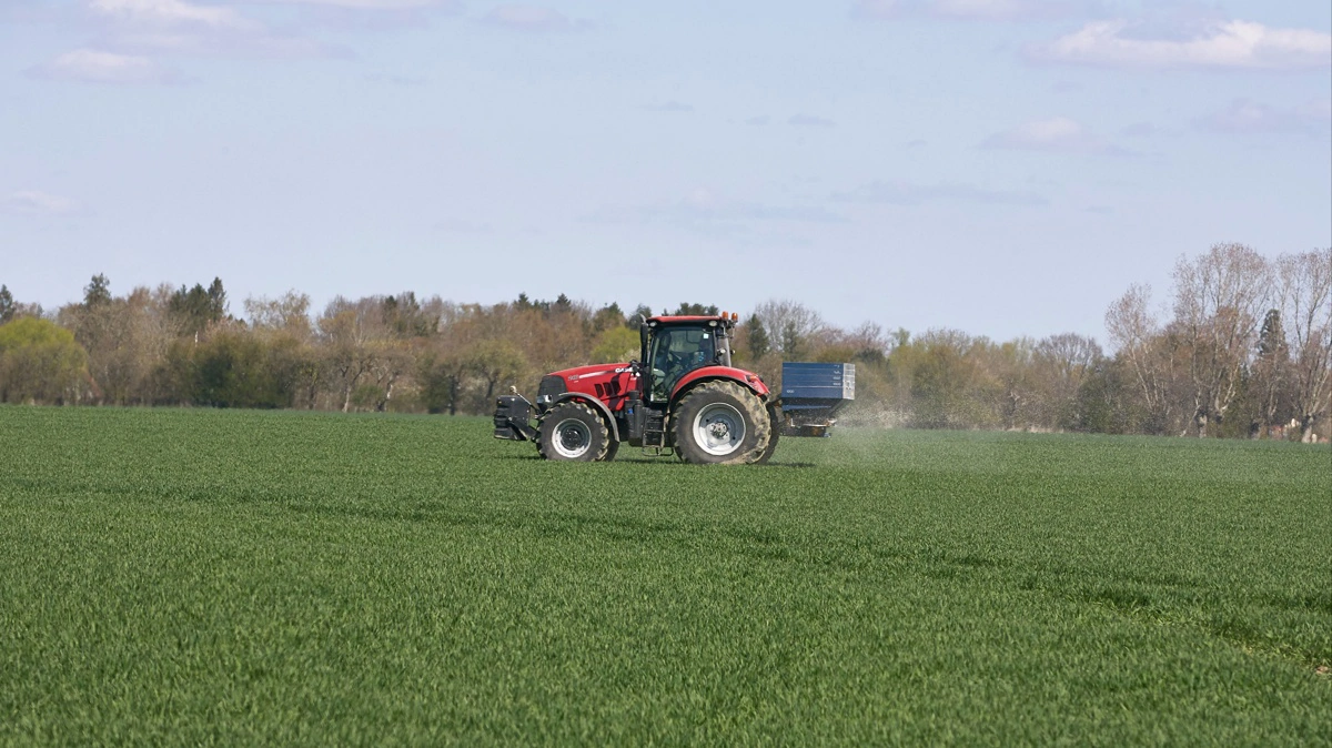 Det er god latin, at første kvælstoftildeling i vintersæden udføres med en gødningstype med et højt ammoniumindhold. Arkivfoto: Erik Hansen