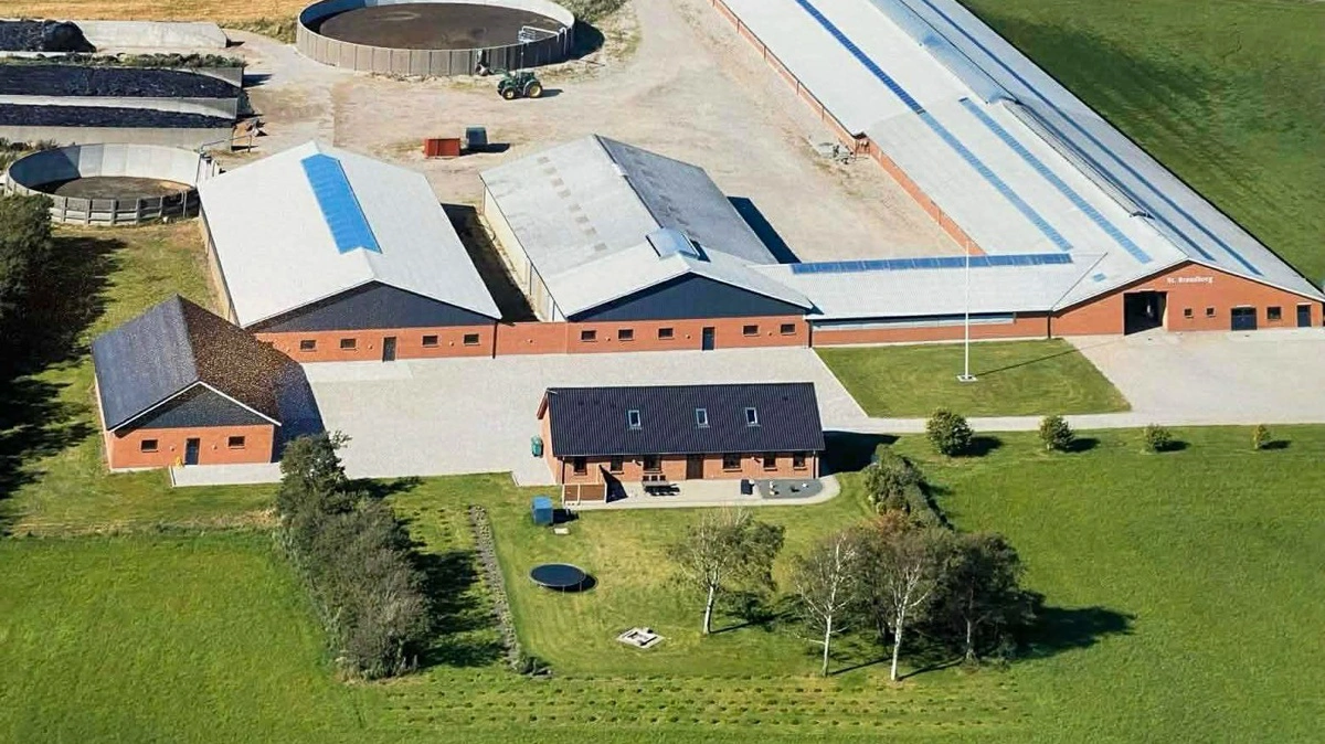 St. Brandborg har både stalde, boliger og tilhørende anlæg samlet på adressen ved Bækmarksbro samt et jordtilliggende på 290 hektar. Nu er det hele sat til salg for over 70 millioner kroner. Fotos fra salgsopstillingen: EDC