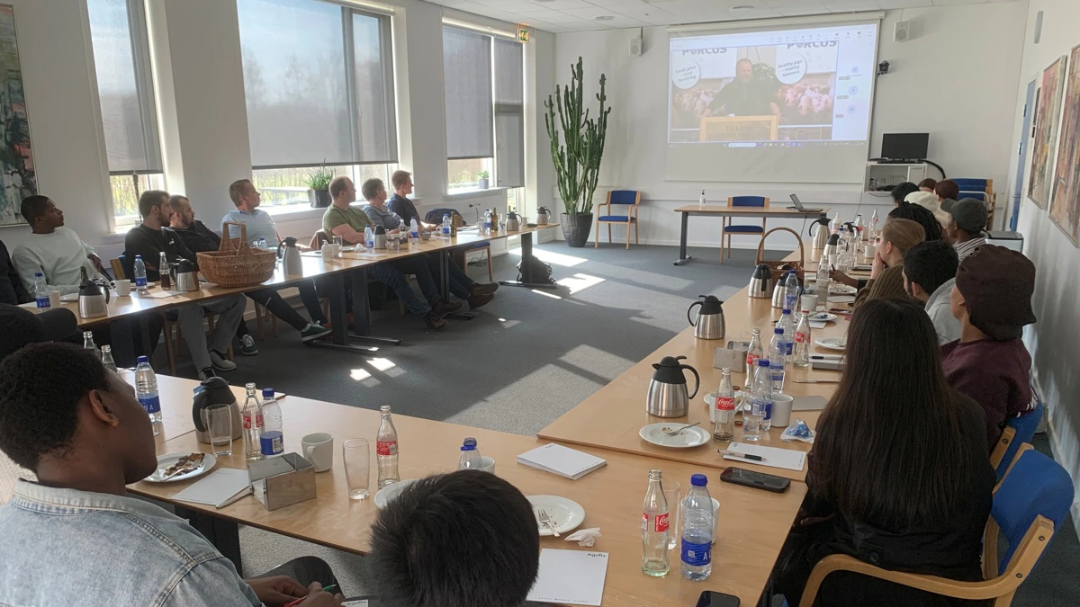 I fire byer, herunder i lokaler hos Agillix i Brønderslev, hvor næsten 30 tilhører var samlet, sad deltagere i Porcus-gruppen Fokus 35 Vital klar til at høre de faglige indlæg, der blev streamet fra Odense. Fotos: Porcus