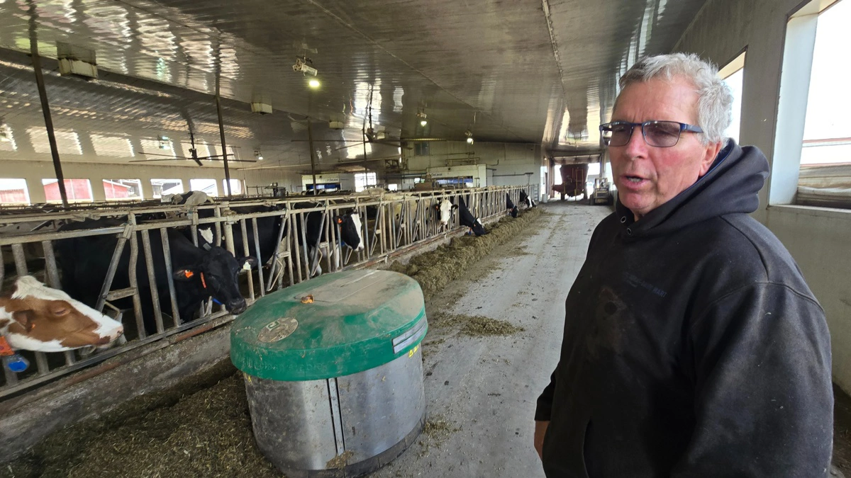 Selv om staldene er gennemautomatiserede, er der - foruden Fred Hofstra og hans voksne søn - yderligere to fuldtidsansatte. 