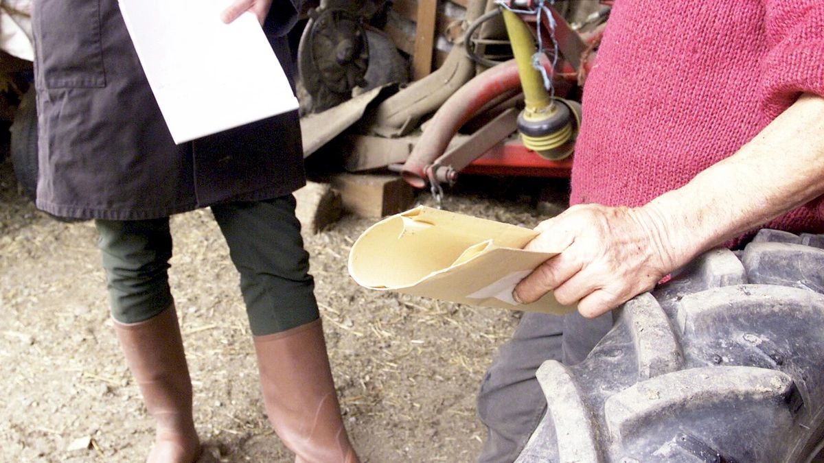 EU arbejder for ensartet kontrol på tværs af medlemsstaterne, så forskelle i håndhævelse ikke skaber skævheder i det indre marked. Foto: Colourbox