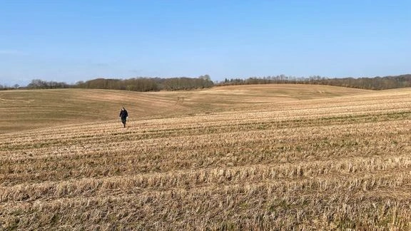 Gennem metoden assisteret naturlig tilgroning skal der etableres ny skov og lysåben natur på markerne her, der skal udvikle sig på naturens præmisser. Foto: Klimaskovfonden