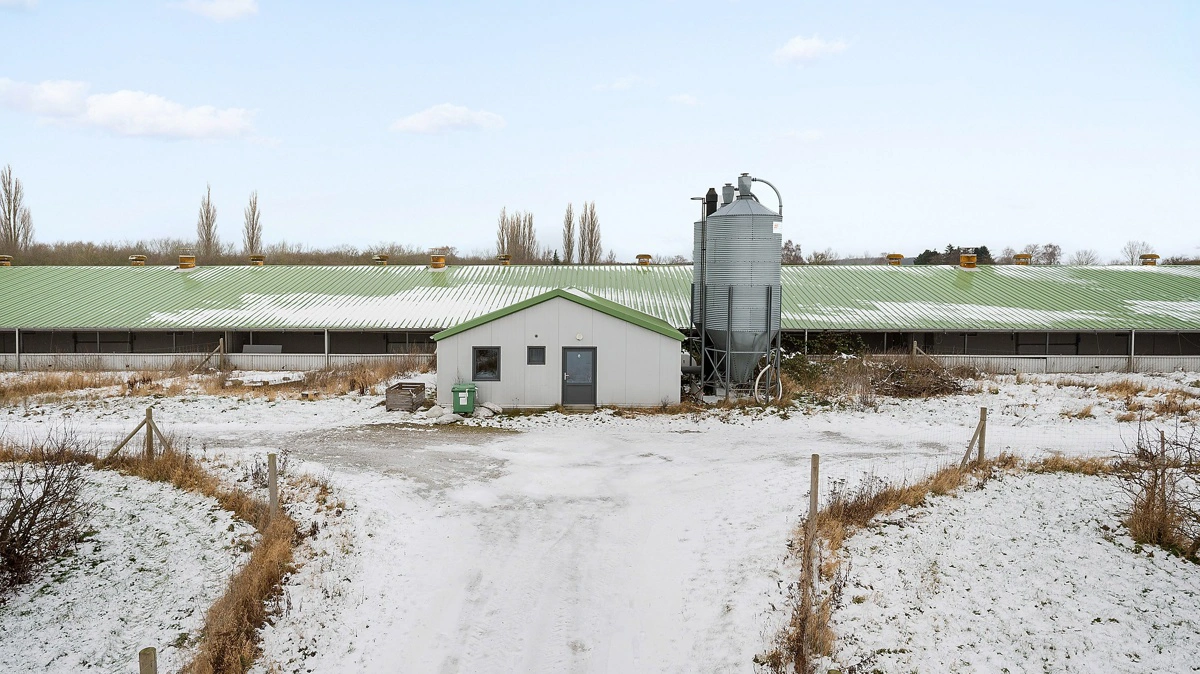 Et af porteføljens hønserier på Lolland med plads til æglæggende høns. I alt rummer de to anlæg kapacitet til 23.000 høns og er en del af den samlede økologiske fjerkræproduktion. 