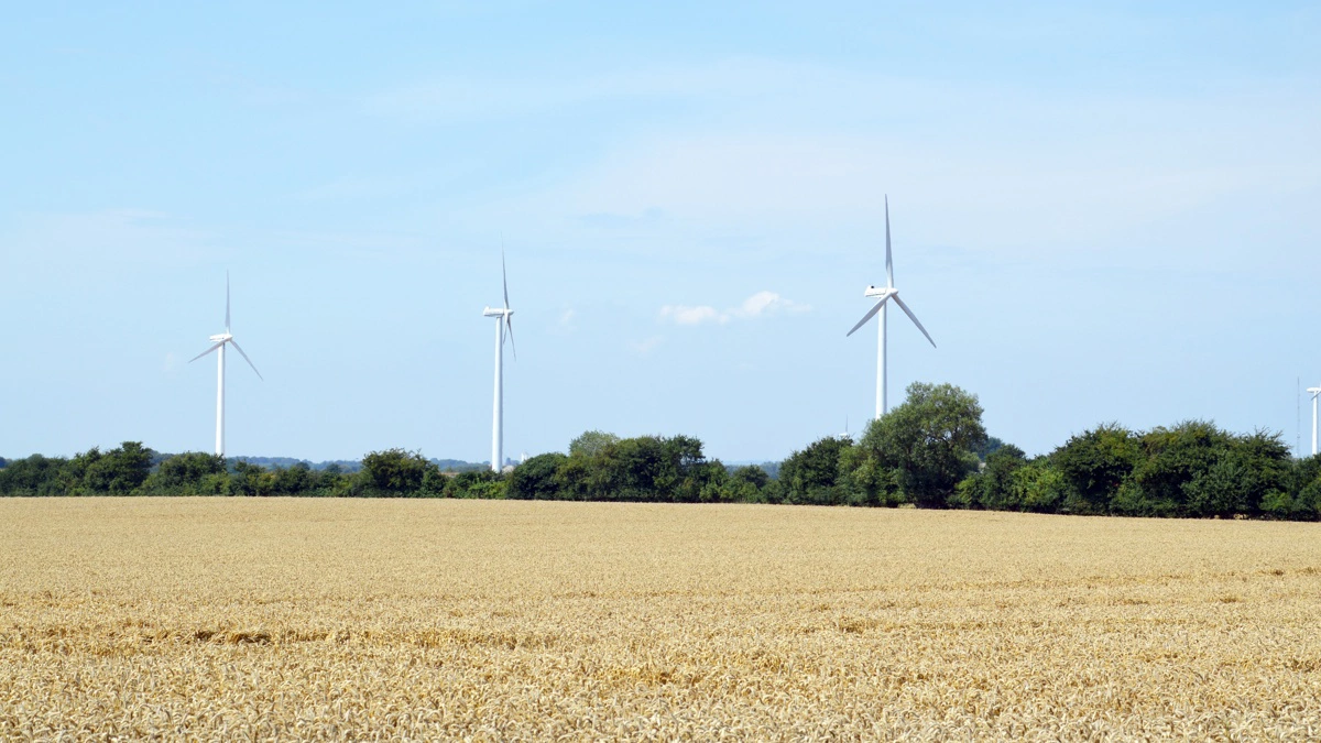 En række vendelboer kan se frem til seks nye vindmøller. Arkivfoto   