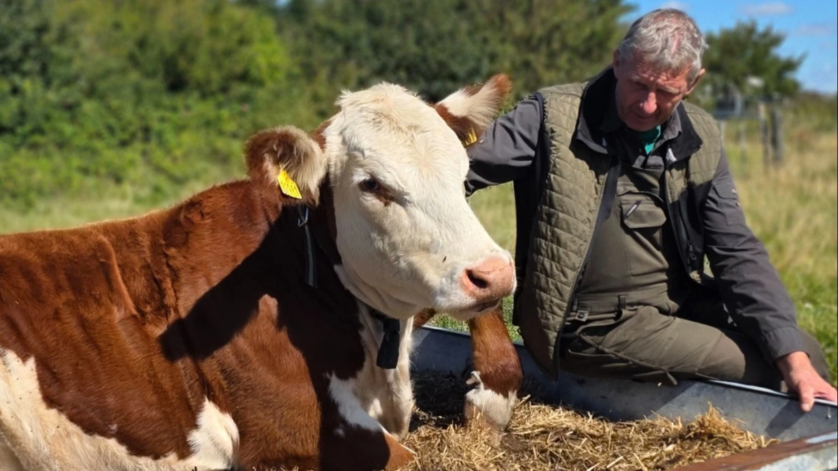 Jørgen Bloch er formand for Kødkvægsforeningen Himmerland. Han mener, at der bliver brug for mange flere kødkvæg til afgræsning. Privatfoto