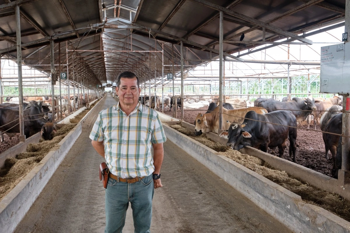 I Costa Rica er der både storslået natur og en del landbrug med blandt andet malke- og kødkvæg – her fra en besætning med cirka 6.000 kvæg året rundt. Fotos: Niels Damsgaard Hansen